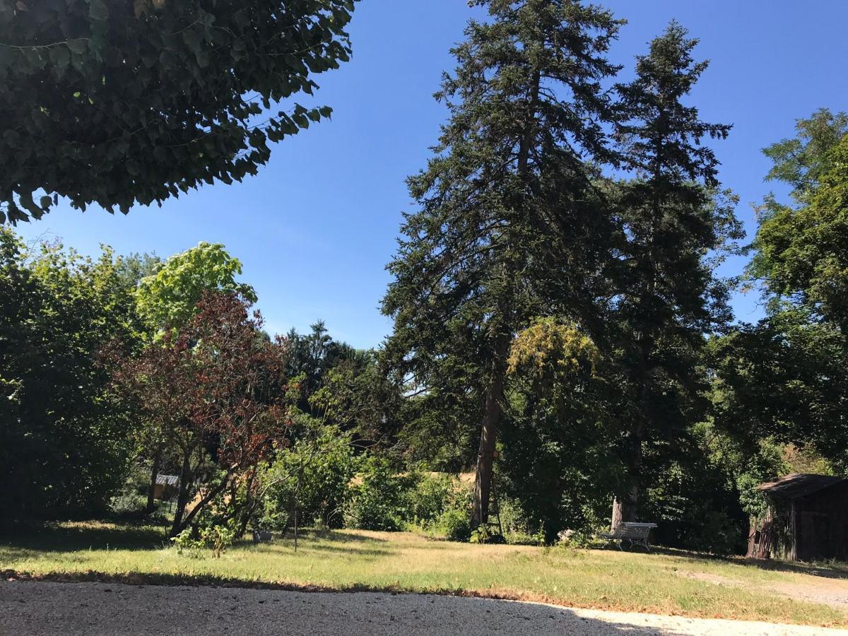 Charmant F1 avec terrasse et vue sur jardin arboré - fraicheur naturelle du rez de jardin - parking Bellerive-sur-Allier Exterior foto